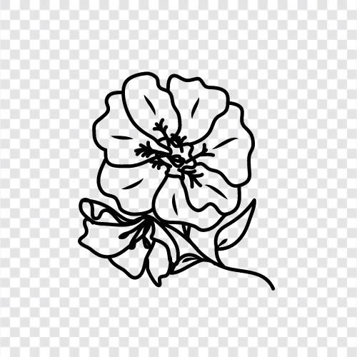 aromatic, flowers, fragrance, plants icon svg