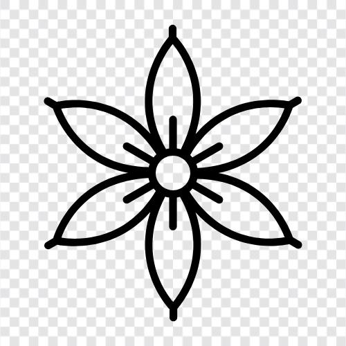 arrangement, bouquet, floral, floral design icon svg