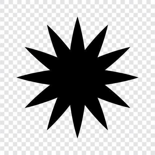 aster, asteraceae, aster flower, star flower pictures icon svg