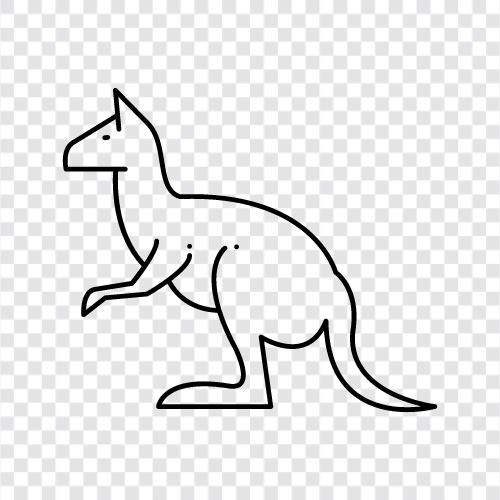 Australia, marsupials, hopping, conservation icon svg