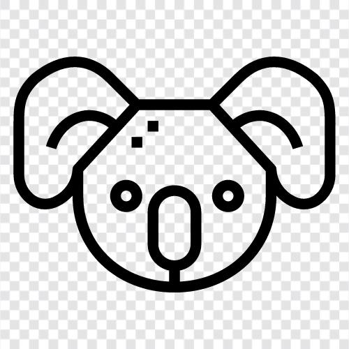 Australian, cuddly, endangered, Koala icon svg