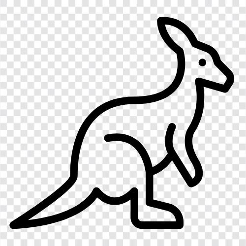 Australisch, marsupial, hüpfen, springen symbol