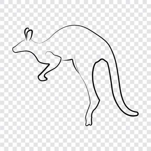 Australisch, hüpfen, hüpfend tier, marsupial symbol