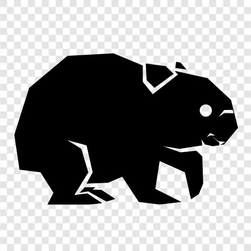 Australian, Mammal, Ecosystem, Wildlife icon svg