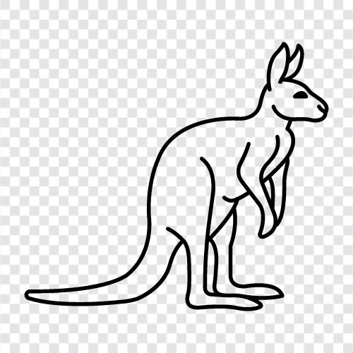 Australisch, springen, tier, marsupial symbol