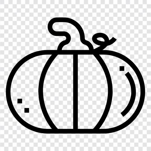 autumn, harvest, gourd, squash icon svg