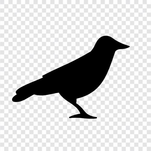 Vogel symbol