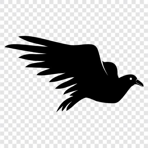 avian, feathered, flying, migratory icon svg