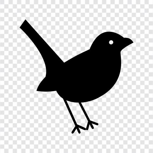 avian, fowl, pet, house icon svg