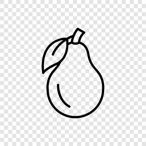 Avocado Bauern, Avocado Züchter, Avocado Handel, Avocado Preise symbol