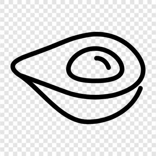 Avocadoöl, Avocadoverbrauch, Avocadobaum, Avocadofrucht symbol