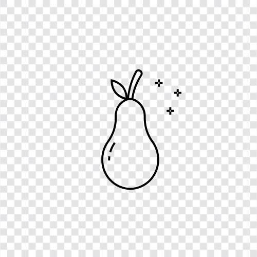 Avocadoöl, Avocadotoast, Avocadodip, Avocadohaut symbol