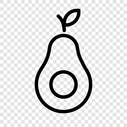 Avocado Öl, Avocado Toast, Avocado Eis, Avocado Baum symbol
