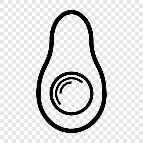 Avocadobaum, Avocadoobst, Avocadobaumpflege, Avocadoobstpflege symbol