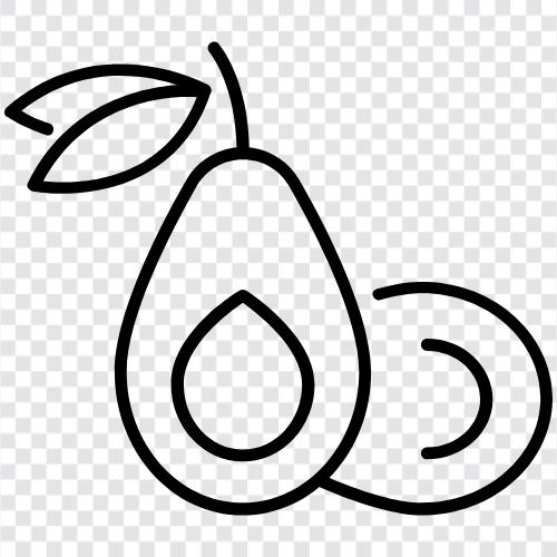 AvocadoBaum, AvocadoObst, AvocadoLandwirtschaft, AvocadoBauern symbol