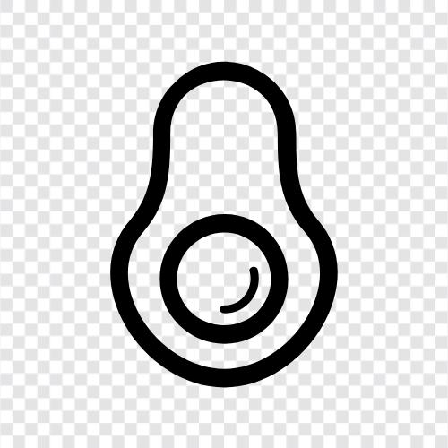 Avocadobaum, Avocadofrucht, Avocadozucht, Avocadoöl symbol