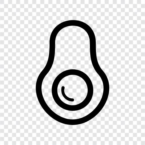 AvocadoBaum, AvocadoObst, AvocadoLandwirtschaft, AvocadoPreis symbol