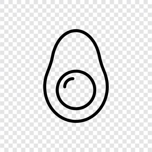 Avocado Baum, Avocado Ernte, Avocado Landwirtschaft, Avocado Preise symbol