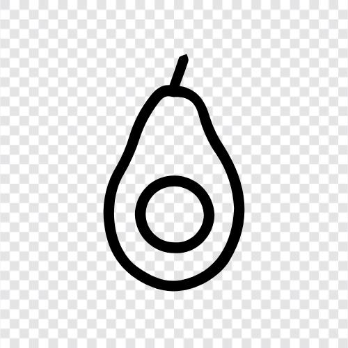 AvocadoBaum, AvocadoObst, AvocadoLandwirtschaft, AvocadoKultur symbol