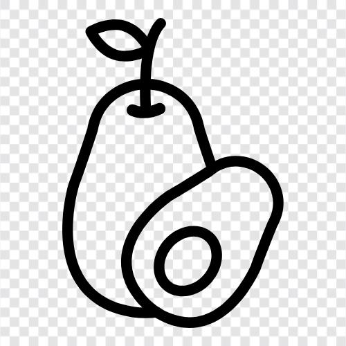 AvocadoBaum, AvocadoObst, AvocadoKultur, AvocadoLandwirtschaft symbol