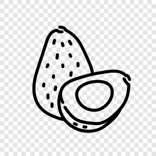 avocados, avocado tree, avocado fruit, avocado cultivation icon svg