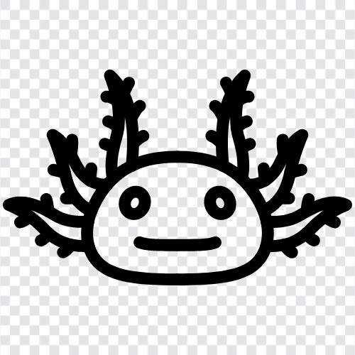 axolotl, salamander, Mexican axolotl, axelotl icon svg