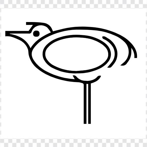 baby, eltern, vögel, familie symbol