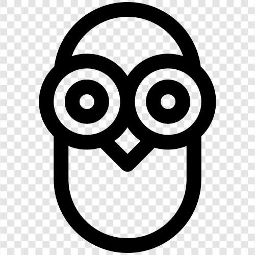 bebek baykuş, owl gerçekleri, owl resimleri, owl videoları ikon svg