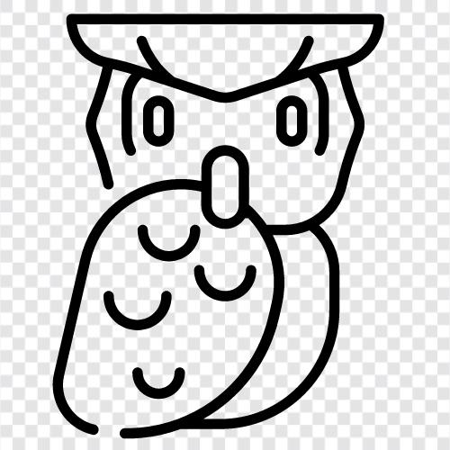 baby owl, barn owl, brown owl, cute owl icon svg