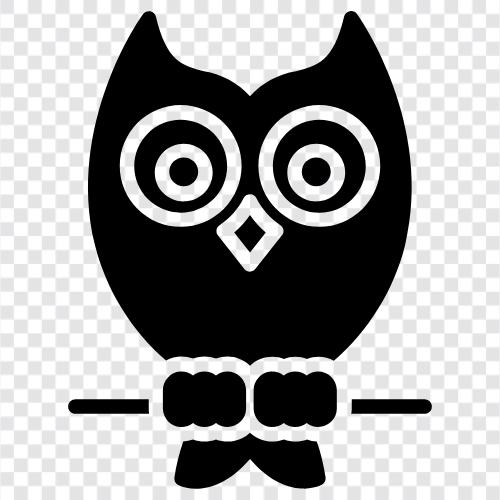 baby owl, cute owl, big owl, endangered owl icon svg