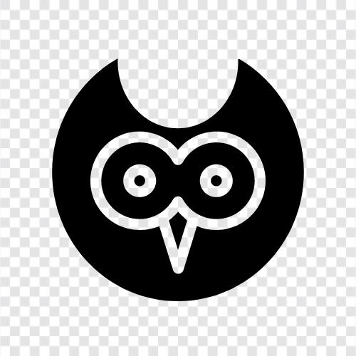 baby owls, owl facts, Owl icon svg