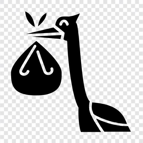 baby storks, baby storking, baby storks for sale, baby stork icon svg