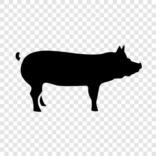 Speck, Schweinefleisch, Schinken, Wurst symbol