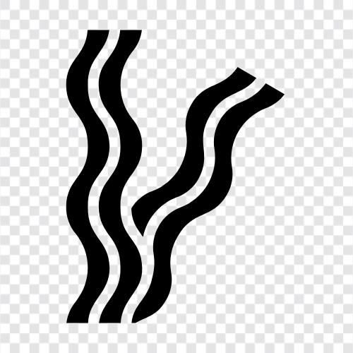 bacon icon svg