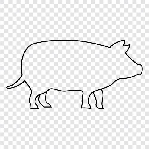 bacon, pork, ham, sausage icon svg