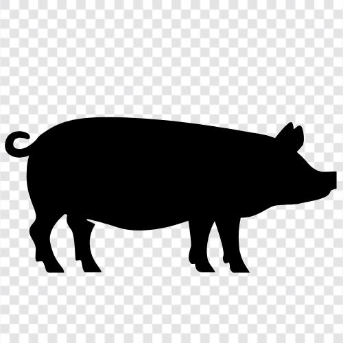 pastırma, pork, ham, sausage ikon svg