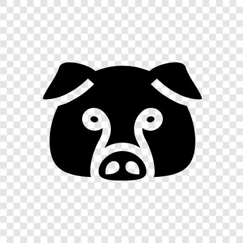 bacon, pork, ham, sausage icon svg