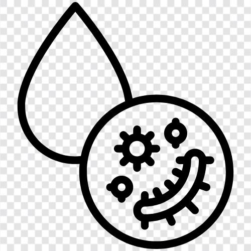 Bakterienwachstum symbol