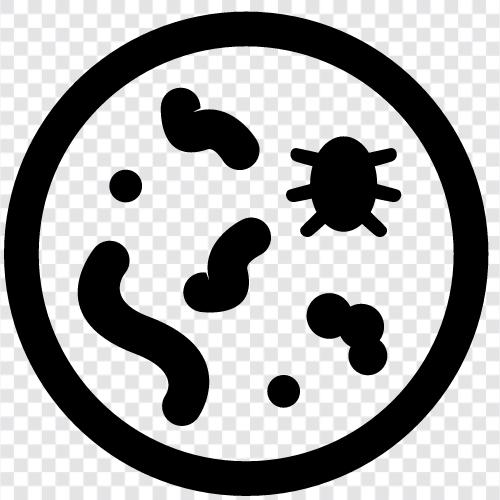 Bakterien, Viren, Keime symbol