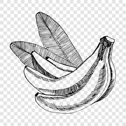 банановая республика, банановый хлеб, банановое мороженое, банановый пудинг Значок svg