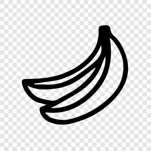 banana republic, banana republic airline, banana republic islands, banana republic cruise icon svg