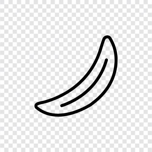 banana split, banana republic, banana republics, banana republics clothing icon svg