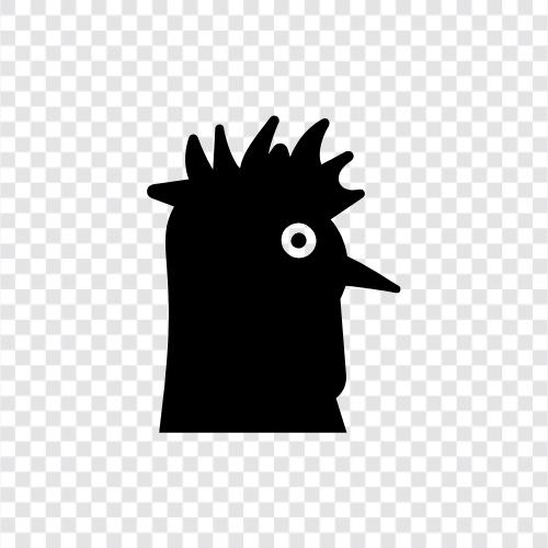 bantam, chicken, farm, eggs icon svg