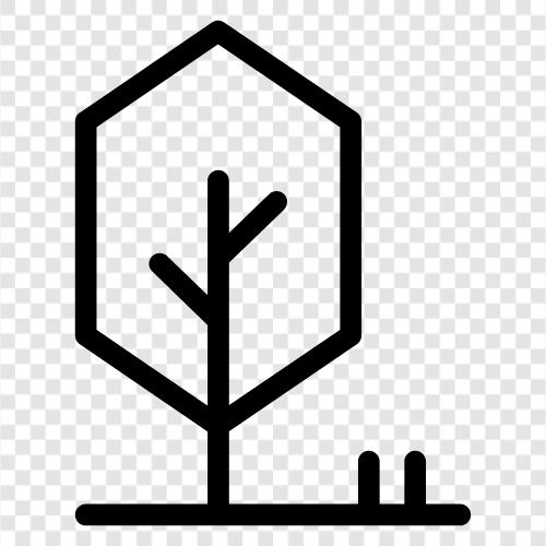 bark, leaves, roots, stem icon svg