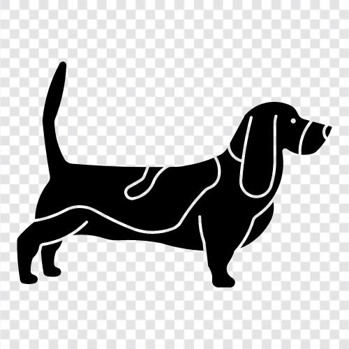 Basset, Hound, Dog, Breed icon svg