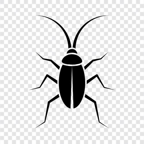 bathroom, cleanliness, insect, infestation icon svg