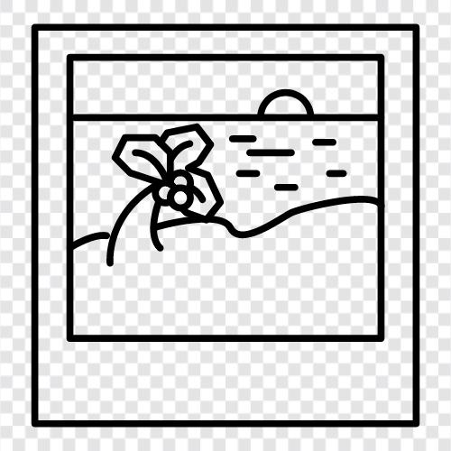 beach picture, beach pics, beach photo, beach photos icon svg