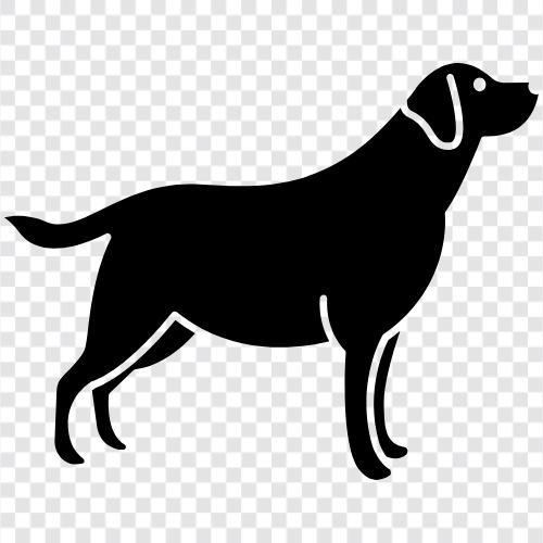 Beagle, Cocker spaniel, German shepherd, Labrador retriever icon svg