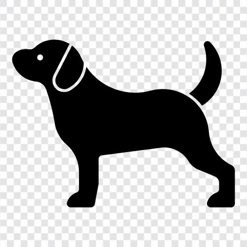 BeagleBone, BeagleBoard, BeagleBoardx, Beagle icon svg