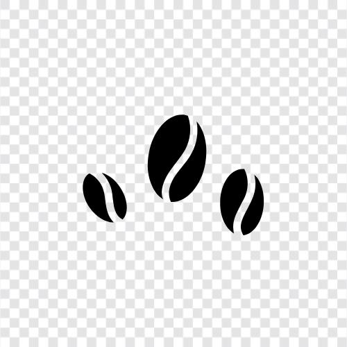 beans, roast, grind, flavor icon svg